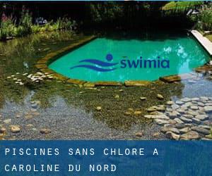 Piscines Sans chlore à Caroline du Nord