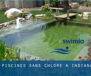 Piscines Sans chlore à Indiana