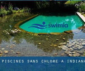 Piscines Sans chlore à Indiana