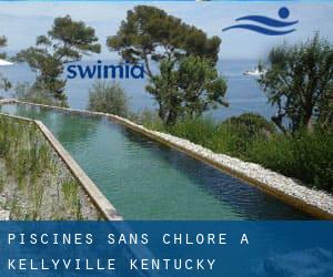 Piscines Sans chlore à Kellyville (Kentucky)