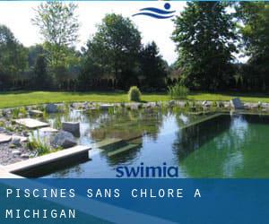 Piscines Sans chlore à Michigan