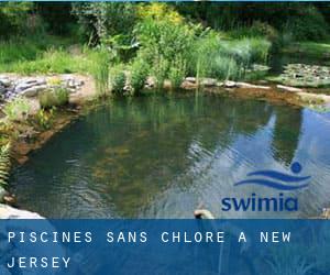 Piscines Sans chlore à New Jersey