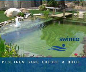 Piscines Sans chlore à Ohio