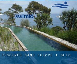 Piscines Sans chlore à Ohio