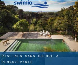 Piscines Sans chlore à Pennsylvanie