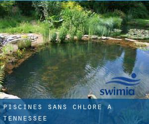 Piscines Sans chlore à Tennessee