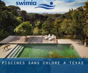 Piscines Sans chlore à Texas