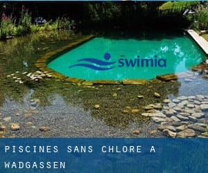 Piscines Sans Chlore à Wadgassen Saarlouis Landkreis Sarre